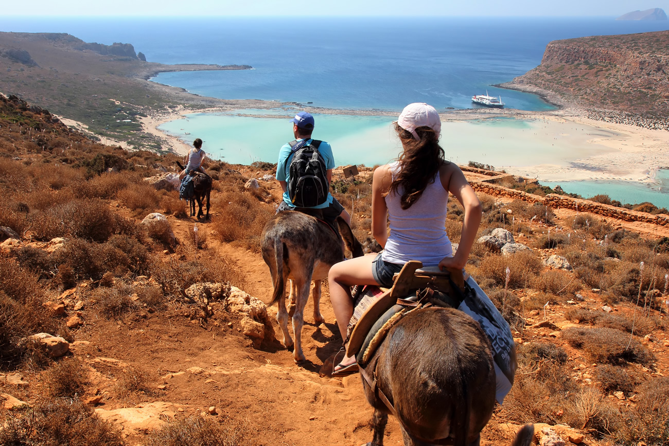 Randonnées avec des ânes