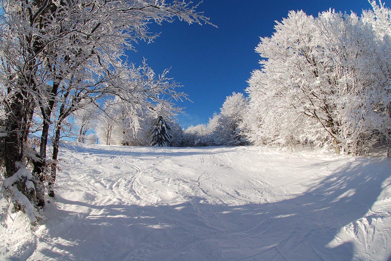 Vacances de février 2022 : les Français sont prêts à partir ! Les réservations en forte hausse !